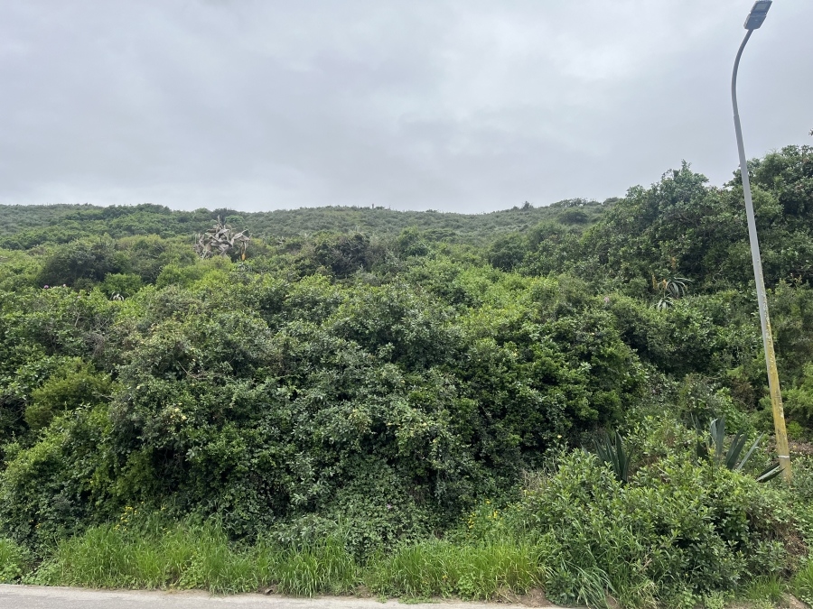 0 Bedroom Property for Sale in Amsterdamhoek Eastern Cape